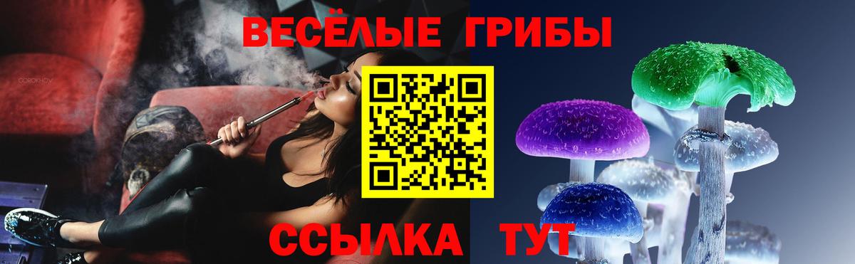 Чехов  Псилоцибиновые грибы мухоморы  Вход с VPN  Галлюциногенные грибы прущие грибы 